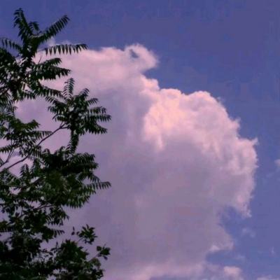 全民彩票app官网版下载